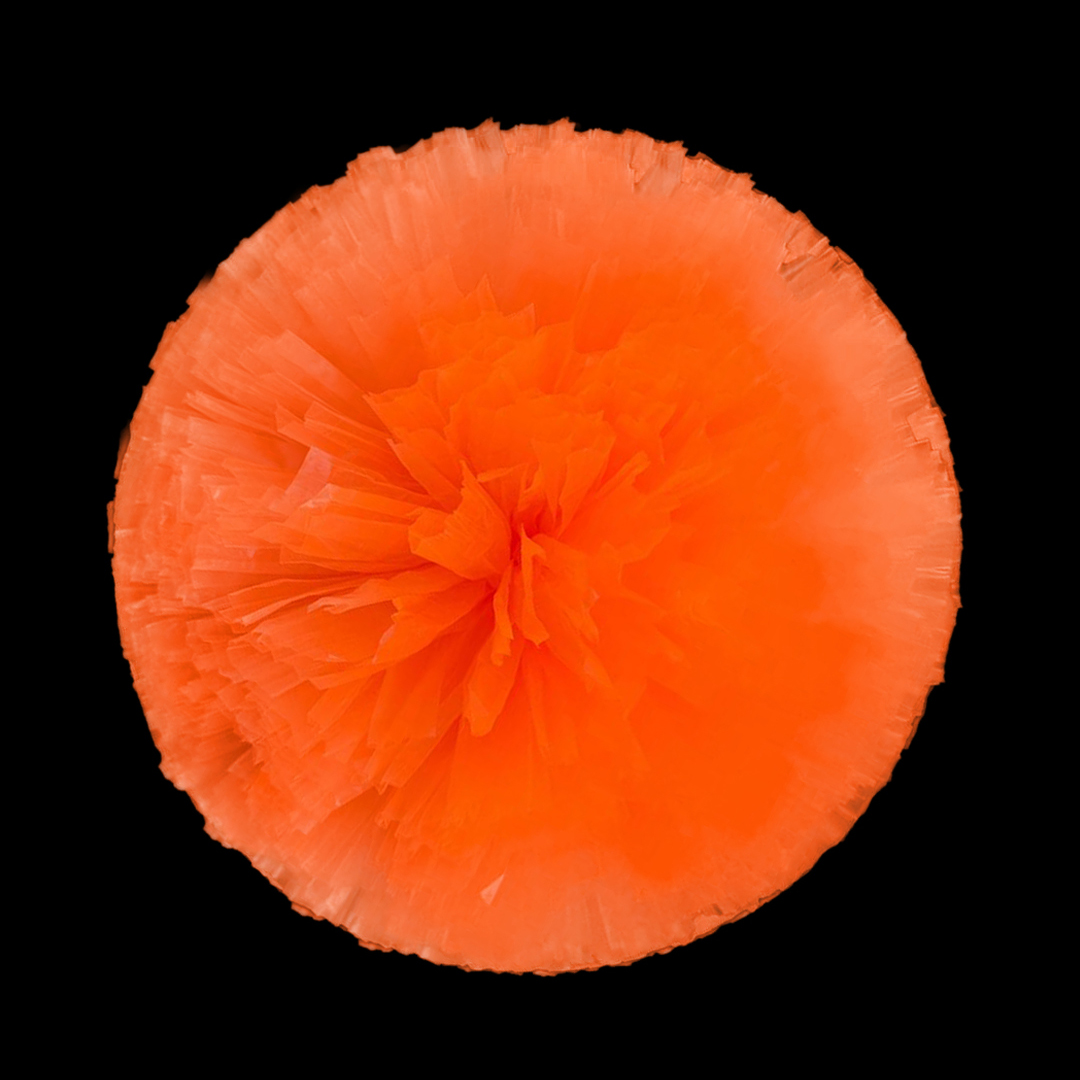 Neon Orange (09)